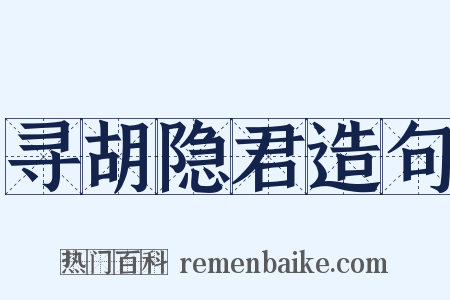寻胡隐君造句是什么意思的图片
